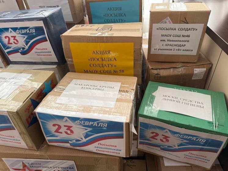 Юные краснодарцы собрали более 2 тысяч посылок для участников СВО