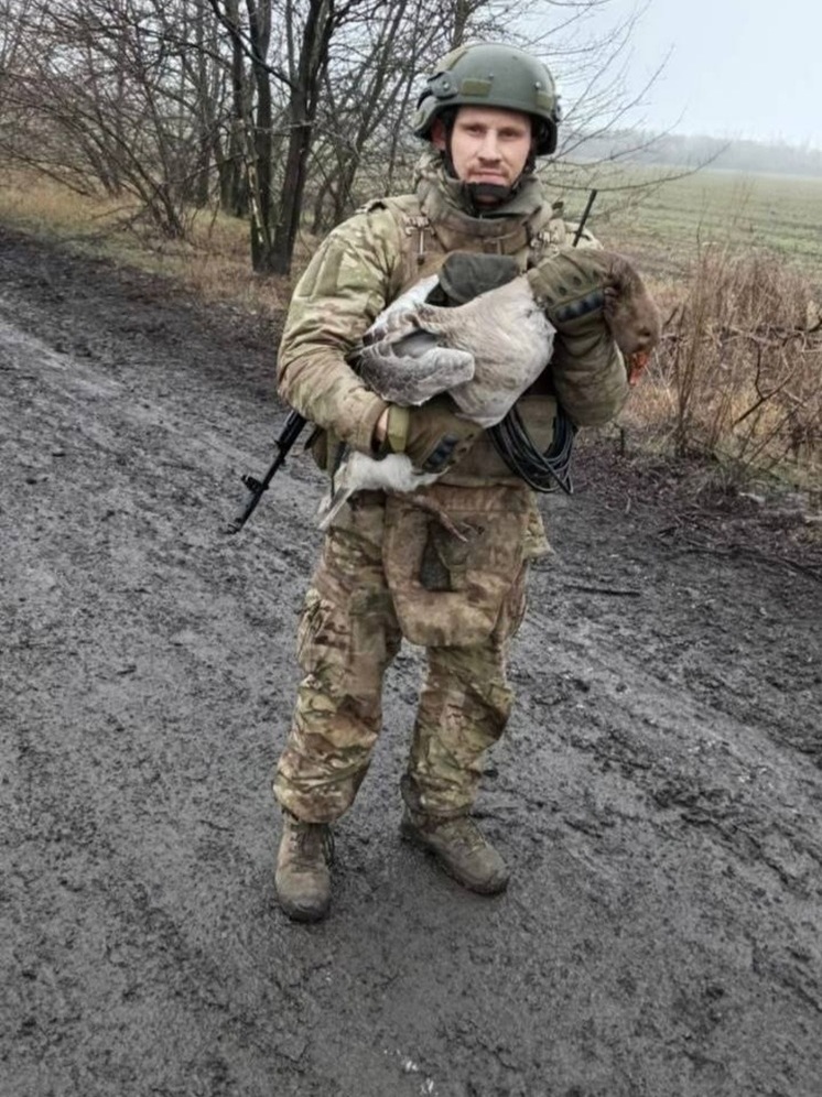 Южноуральцы в зоне СВО обзавелись боевым гусем