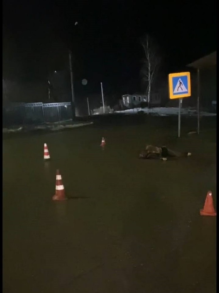 Автомобилист скрылся с места смертельного ДТП в Нижегородской обл