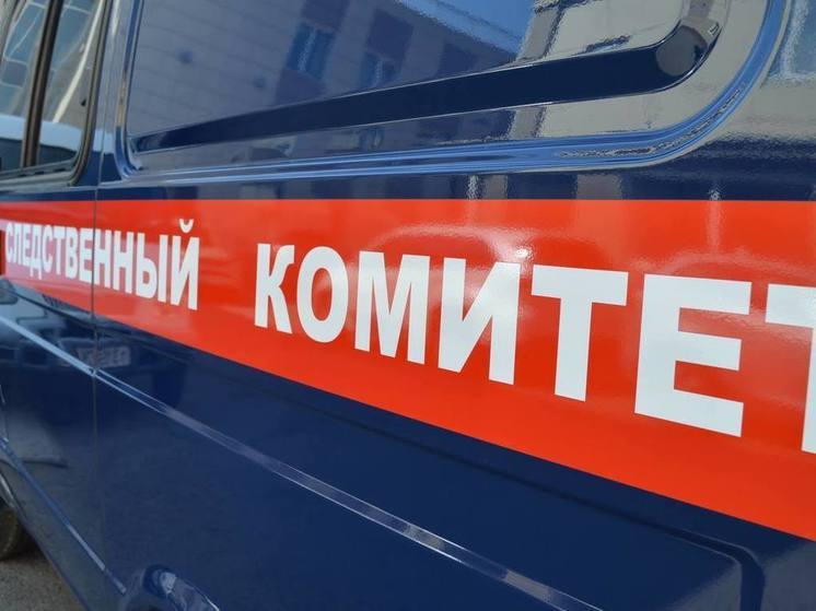 Стали известны подробности гибели девочки в Ергаках
