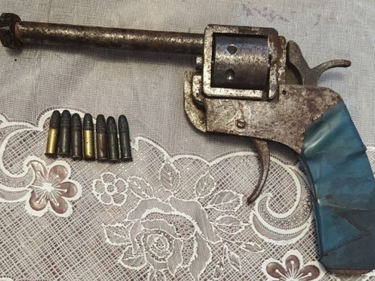 В Курганской области у пенсионера изъяли револьвер, тротиловые шашки и детонаторы