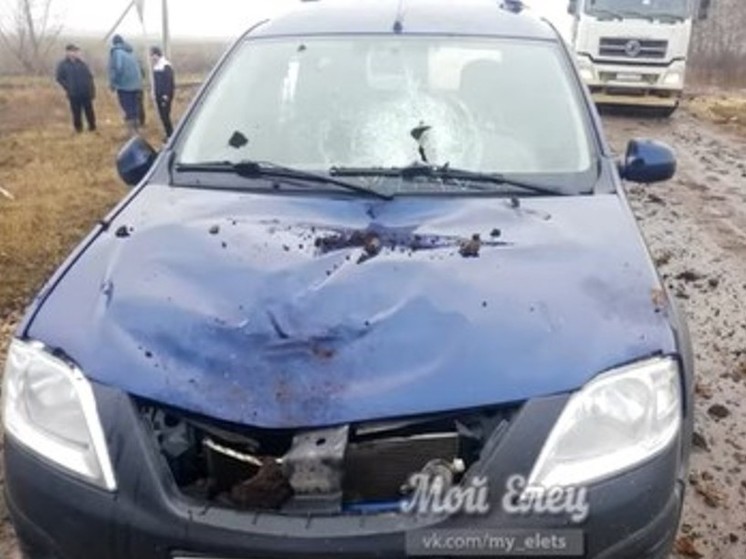 На территорию Липецкой области упали два авиационных боеприпаса