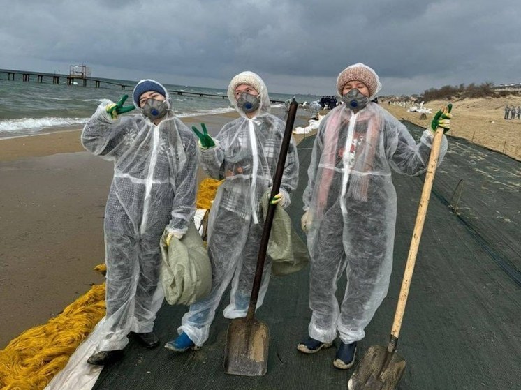 Молодежь из Башкирии спасает птиц и очищает береге Черного моря от мазута - МК У