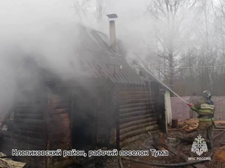 Появились фотографии с места пожара в Туме Рязанской области