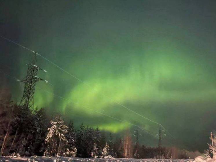 Северное сияние возникло в небе над Кузбассом