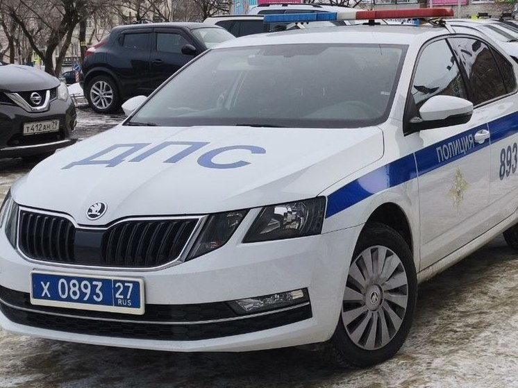 В Приамурье стартовала акция «Ребенок в автомобиле»