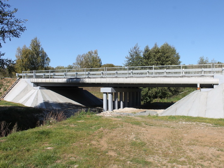 За годы нацпроекта в Марий Эл было отремонтировано 45 мостов