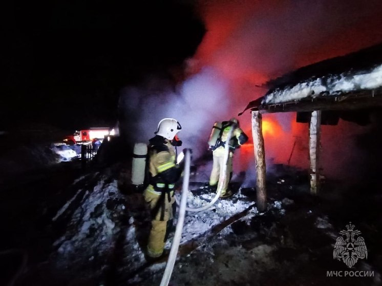 В Омской области на пожарах погибли двое мужчин