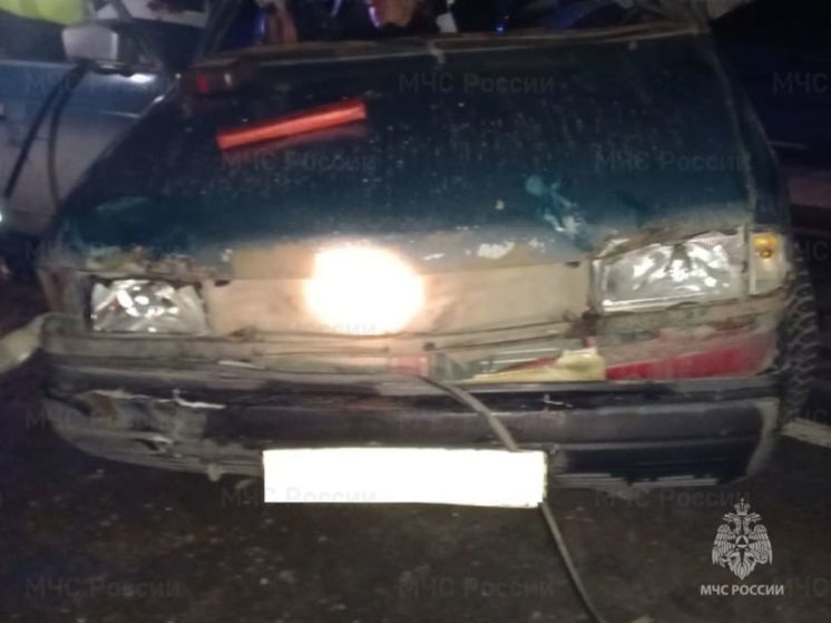 Человек пострадал после столкновения с лосем под Перемышлем