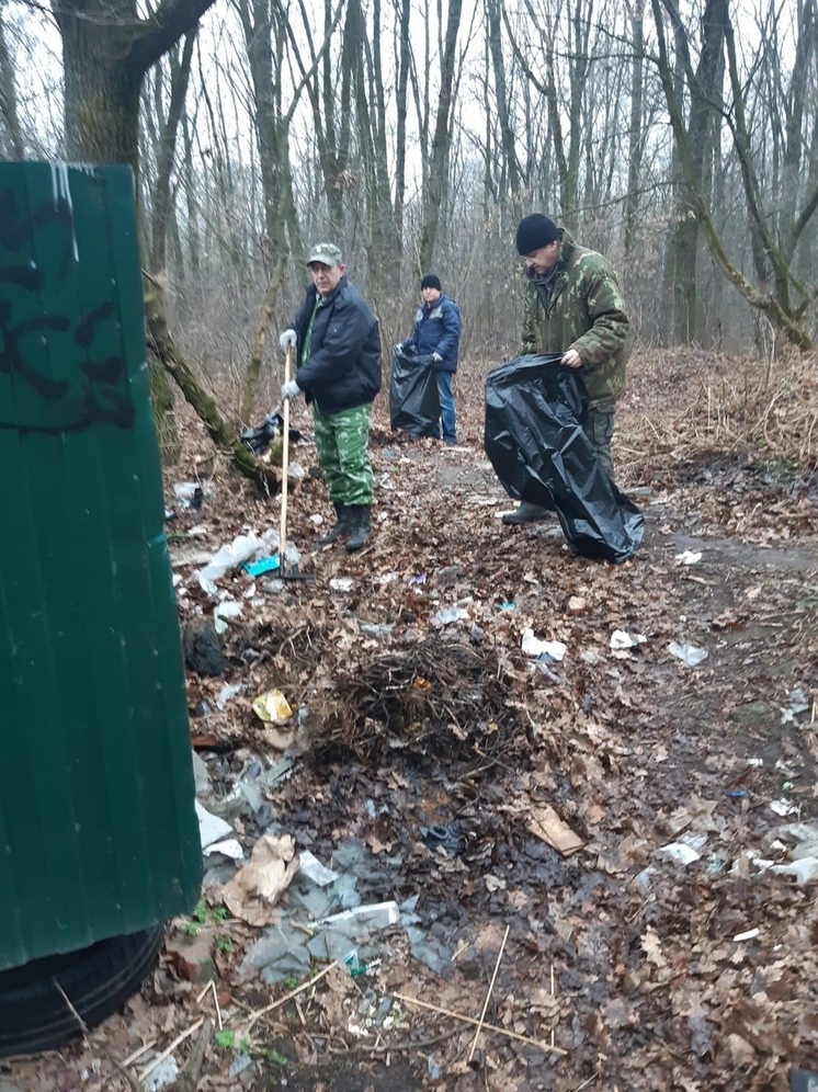 Под Орлом на лесном участке устроили свалку