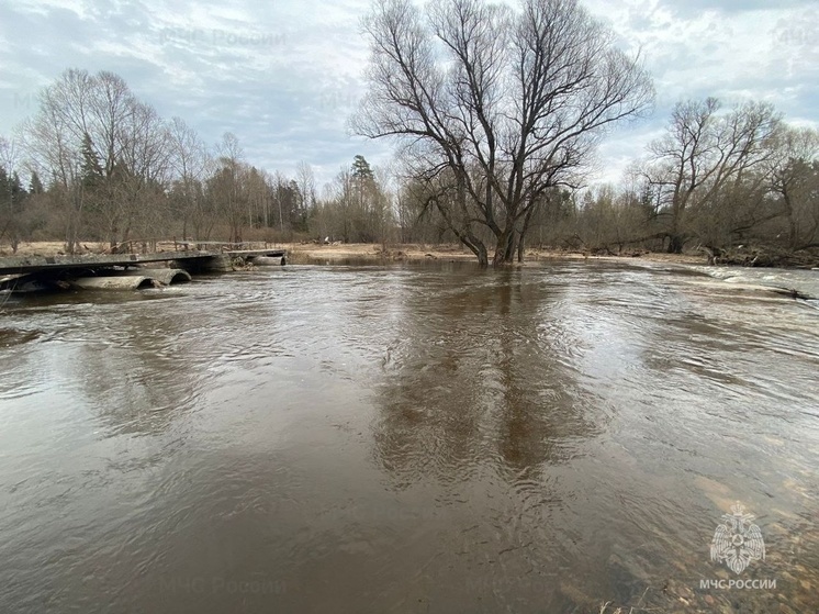 Паводковая ситуация в Смоленской области на утро 3 февраля