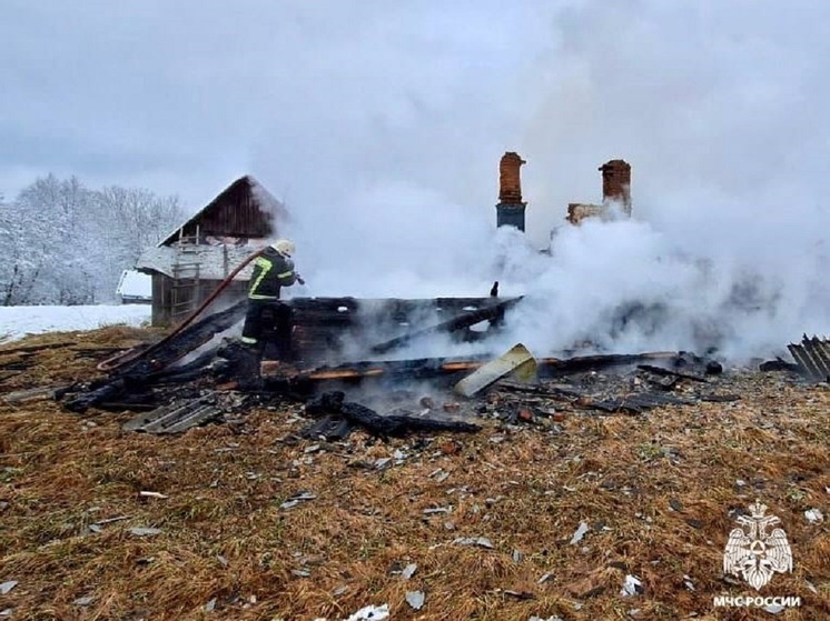 В Тверской области огонь уничтожил деревянный дом до основания