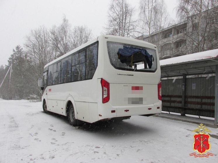 В поселке Кузнечное неизвестный обстрелял автобус из пневматики