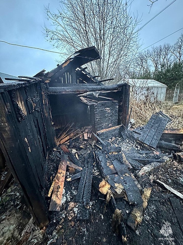 Пожарные спасли жилой дом в Себежском районе