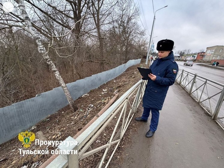 Главе администрации Ефремова Давыдовой внесли представление за свалку
