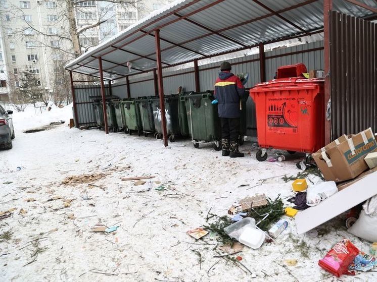  Детей, ищущих еду в мусорных баках, заметили в Челябинске