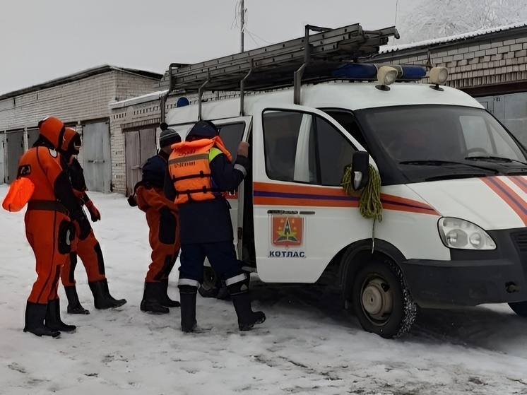 У ледовой переправы в Котласе под лед провалилась собака