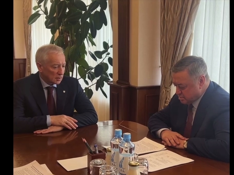 Губернатор Томской области остановил стройку в Северске после жалоб на вырубку деревьев