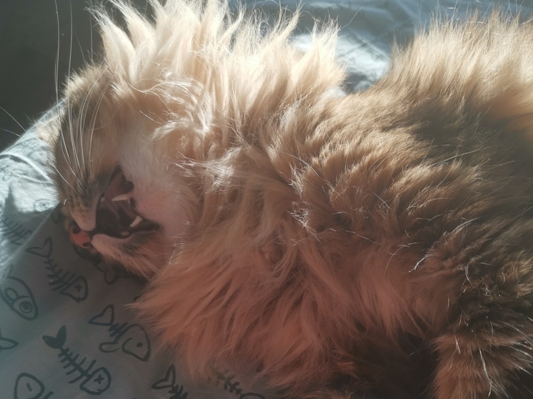 Шумных соседей привлекли к административной ответственности во Владивостоке