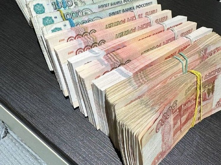 Воронежцам, вынесшим из сейфа мясокомбината 38 млн рублей, грозит до 10 лет тюрьмы