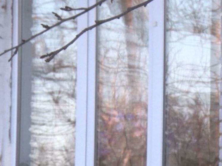 Из-за плесени в квартирах и на фасаде дома в Низино возбудили уголовное дело