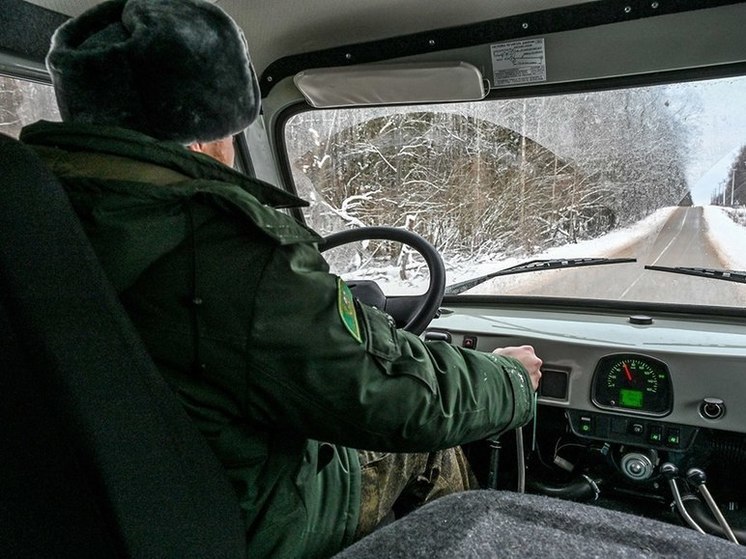 В Подмосковье выявили 93 случая самовольного занятия участков в лесах
