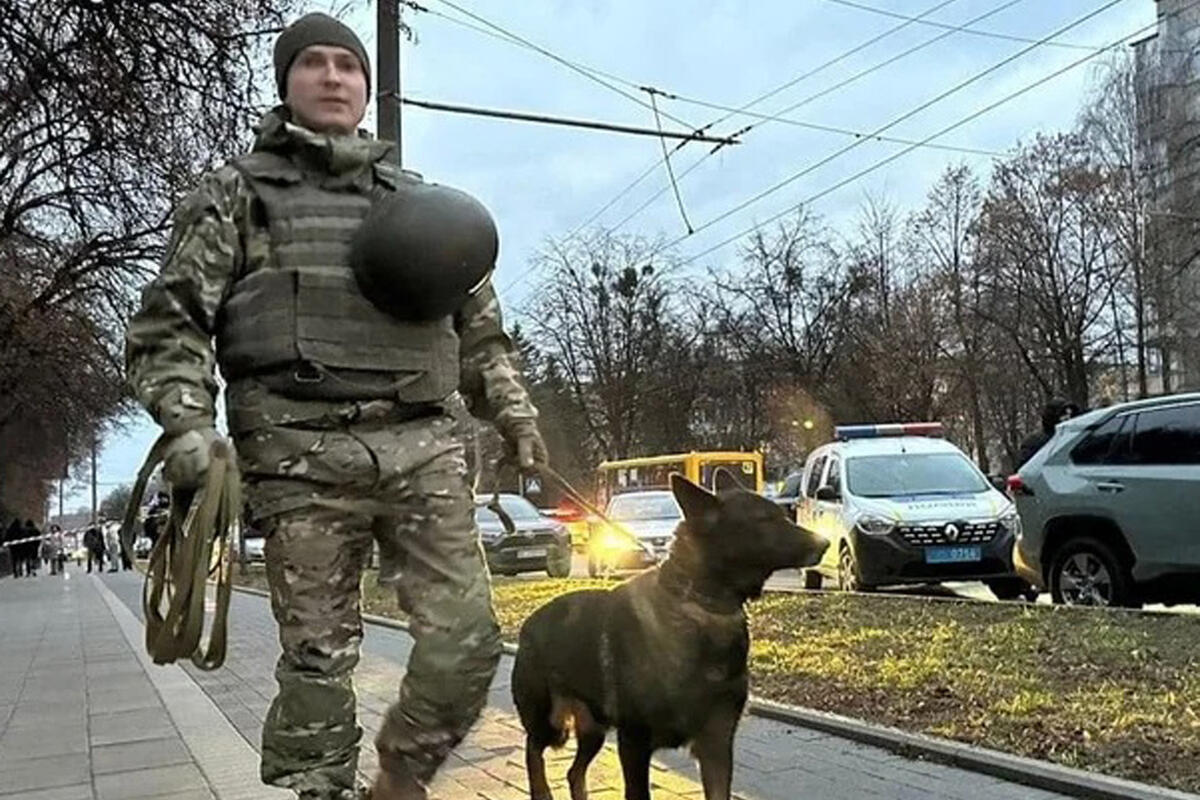 Не виноватая я: пилот-трансгендер утверждает, что не причастен к трагедии в небе