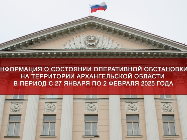 Обнародована актуальная статистика преступности в Поморье за минувшую неделю