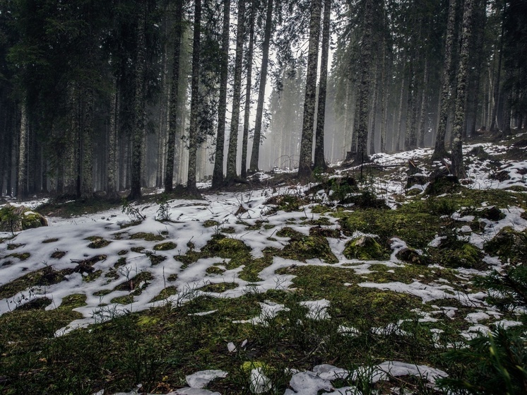 Калужские синоптики обещают ночные морозы