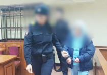 50-летнюю жительницу Йошкар-Олы обвиняют в попытке убийства, совершенной с особой жестокостью