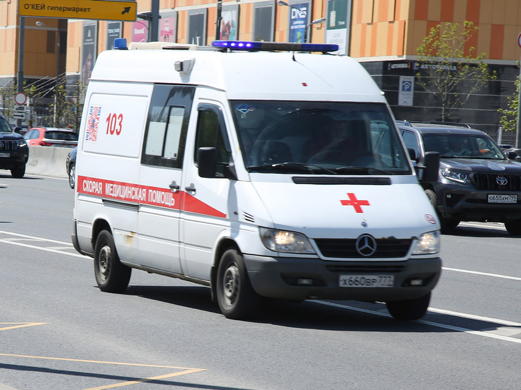 Два человека погибли при пожаре в Подмосковье