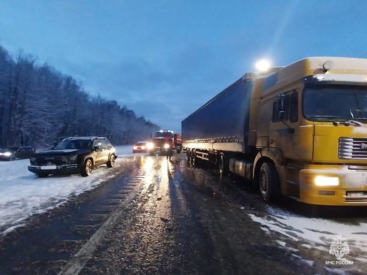 В Тульской области сотрудники МЧС 6 раз выезжали на ДТП в снегопад