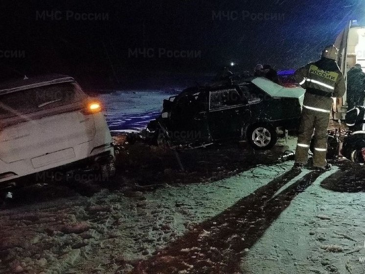 Сотрудники МЧС спасли 17 человек при ДТП в Новосибирской области в январе