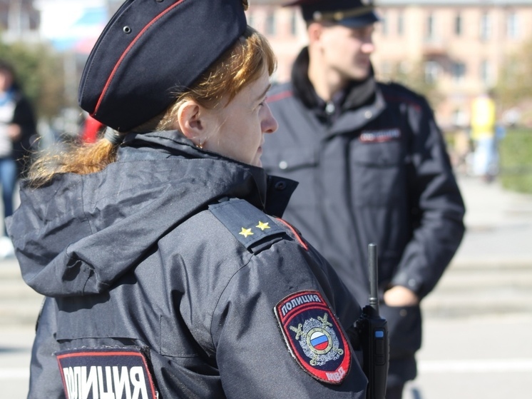 В Туле безработный житель Киреевска пойман на краже сабвуфера из «ВАЗ-2114»