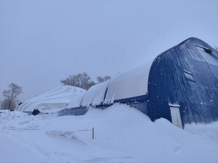 В Томской области директора спортшколы будут судить за халатность