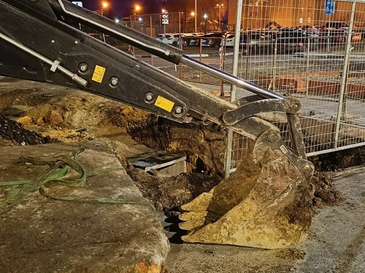 Недавно освобождённые сёла в Великоновоселковском МО начинают восстанавливать