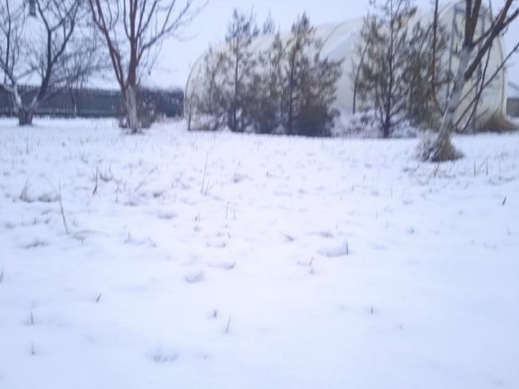 Жители Волгоградской области делятся фотографиями заснеженных улиц