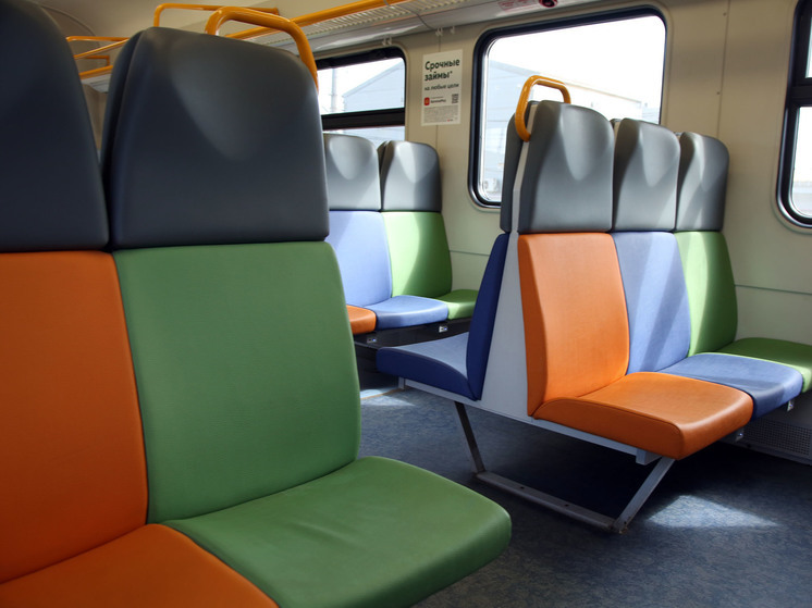 В подмосковной электричке рецидивист напал с ножом на пассажира