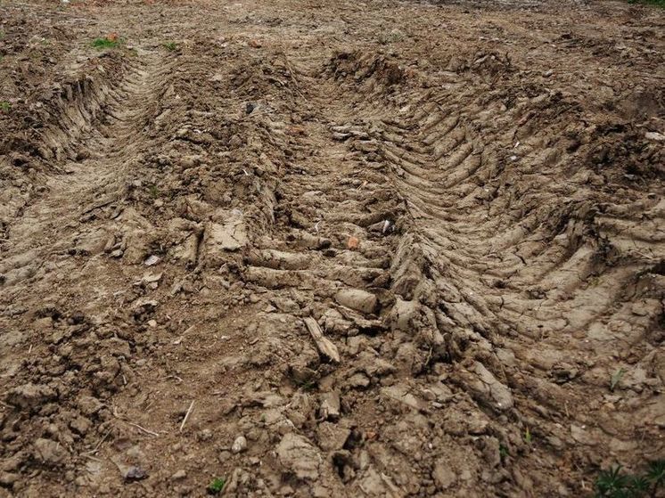 В Подмосковье разрушили некогда платную дорогу между Дзержинским и Лыткарино