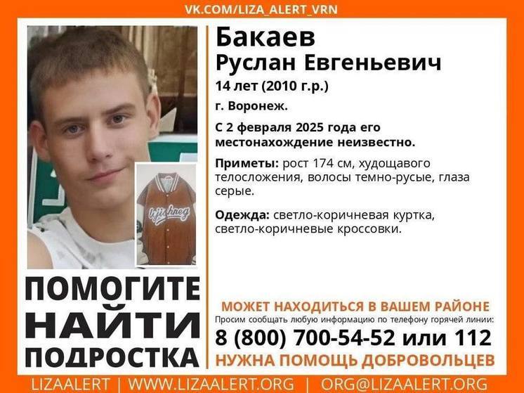 В Воронеже волонтеры более 15 часов разыскивают 14-летнего школьника