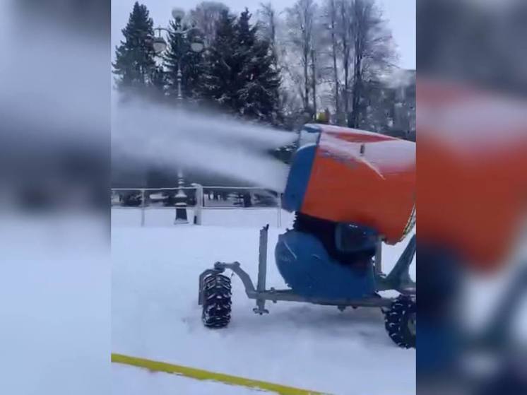 Лыжня из искусственного снега появится в Приморском парке