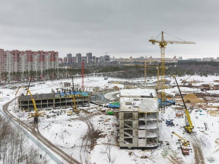 В 97 школах Воронежа фактическое количество учеников больше запланированного