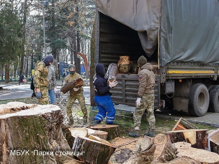 Сотрудники симферопольского парка отправили бойцам СВО бревна