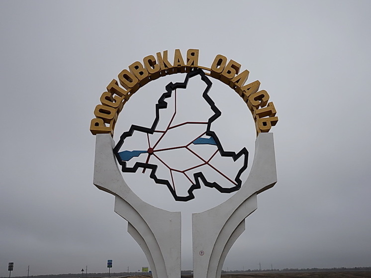 ТАСС: замгубернатора Ростовской области Федотова не признала вину на допросе