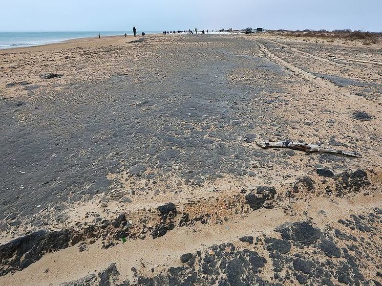 Роспотребнадзор оценит риски здоровью населения после разлива мазута в Черном море