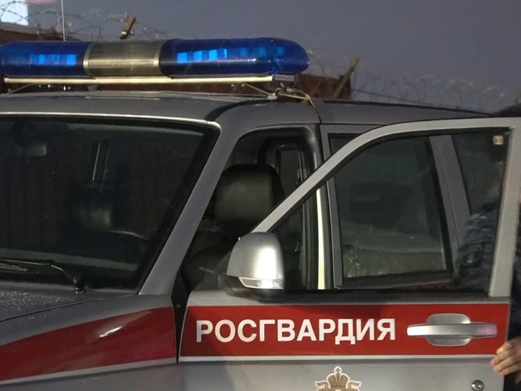 На драку у развлекательного центра в НАО отреагировала Росгвардия