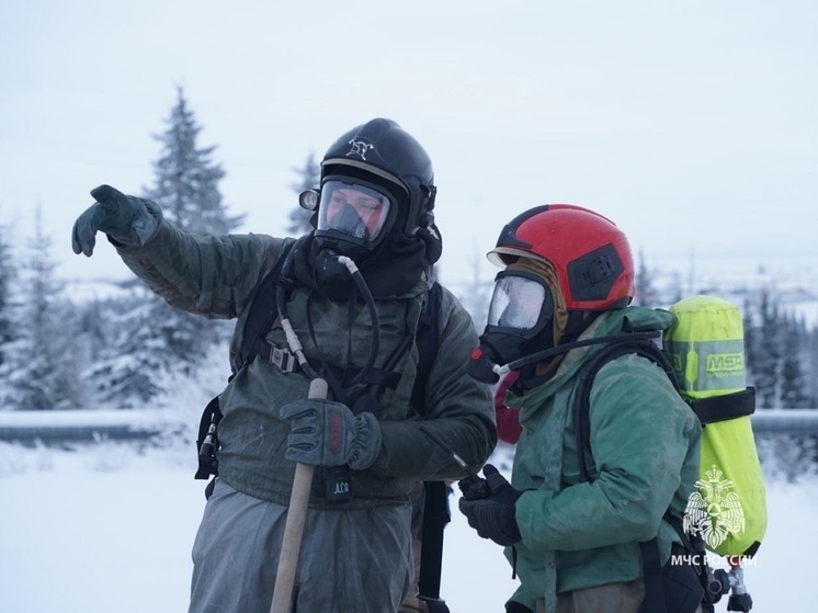 Точное число пожаров с начала 2025 года назвали в НАО