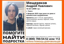 Ориентировку на пропавшего юношу выложил в сеть отряд "ЛизаАлерт"