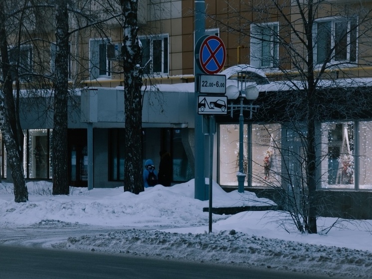 "Может, лучше сделать дороги в городе?": томичи спорят о памятнике Сталину