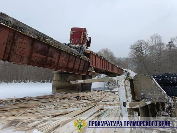 Мост в Приморье рухнул под лесовозом: жители трех сел остались отрезаны от мира